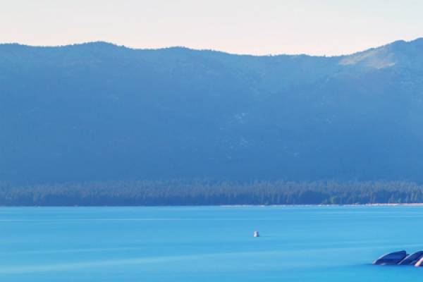 Lake Tahoe in front of a tree-lined coast and mountains.