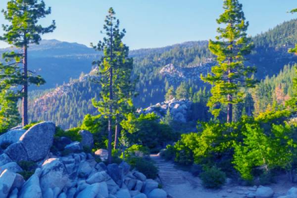 Large rocks in front of three trees and forested hills.