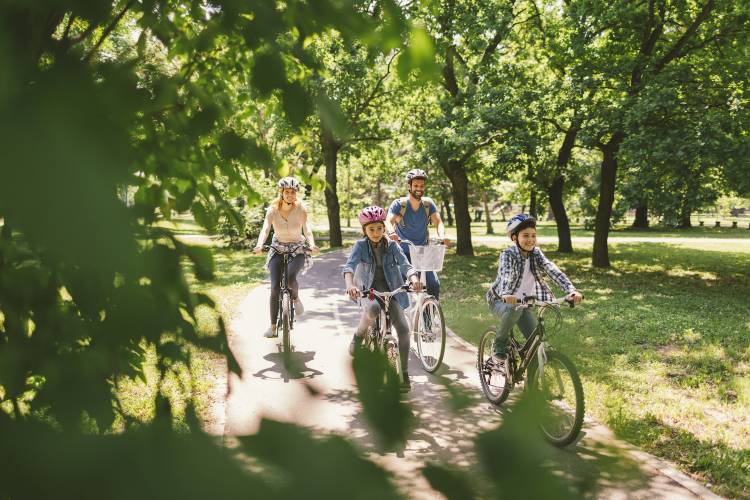 bike rental