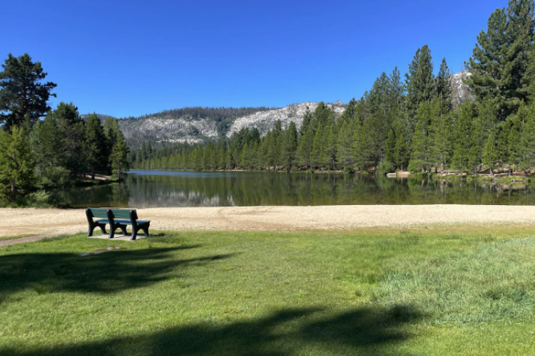 VIew of South Lake Tahoe with Bench