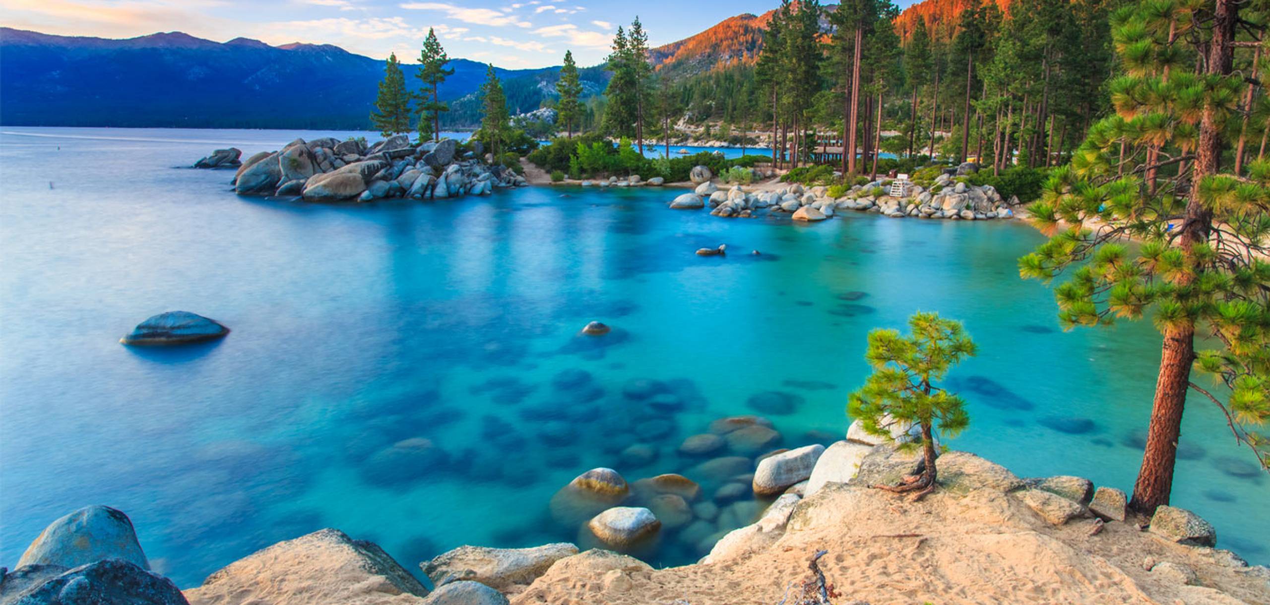 Coast of Lake Tahoe, with rocks visible in the bottom of the lake and tree surrounding the water.