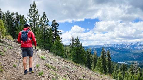 Man On Hiking Trail In South Lake Tahoe