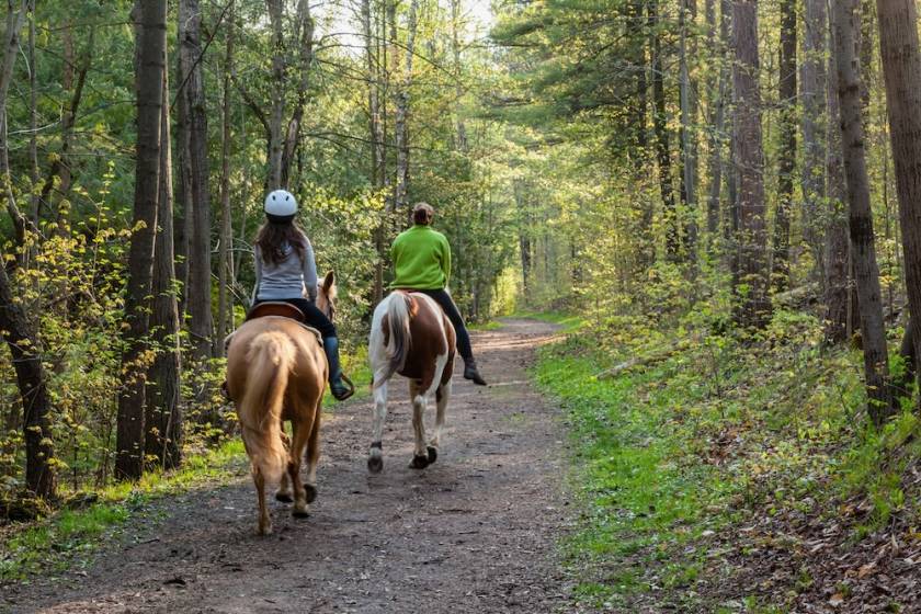 Two women on Horseback through forest
