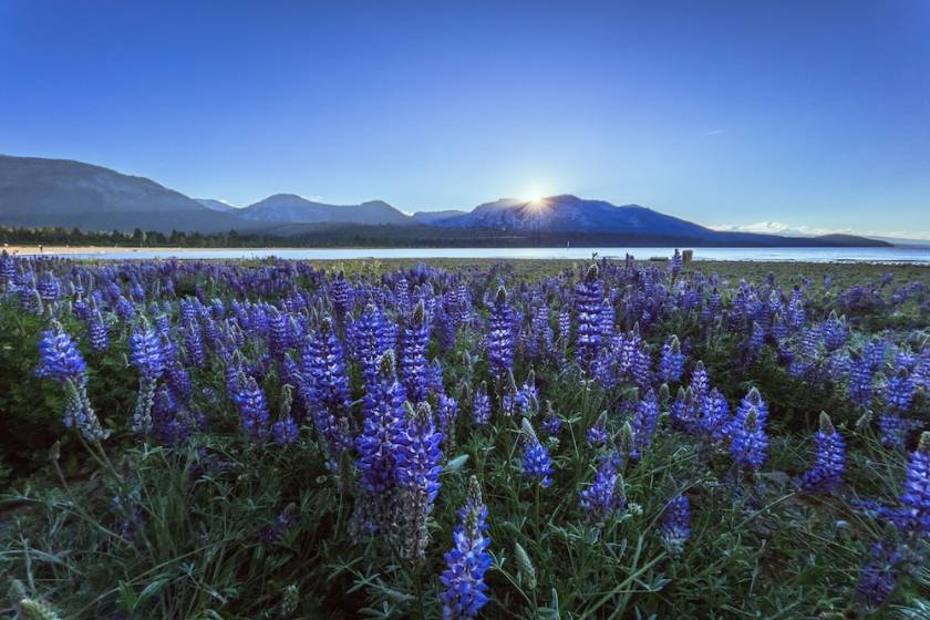 Lake Tahoe in the spring\]