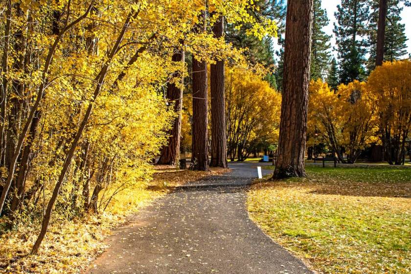 south lake tahoe fall foliage
